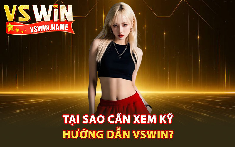 Tại sao cần xem kỹ hướng dẫn Vswin?