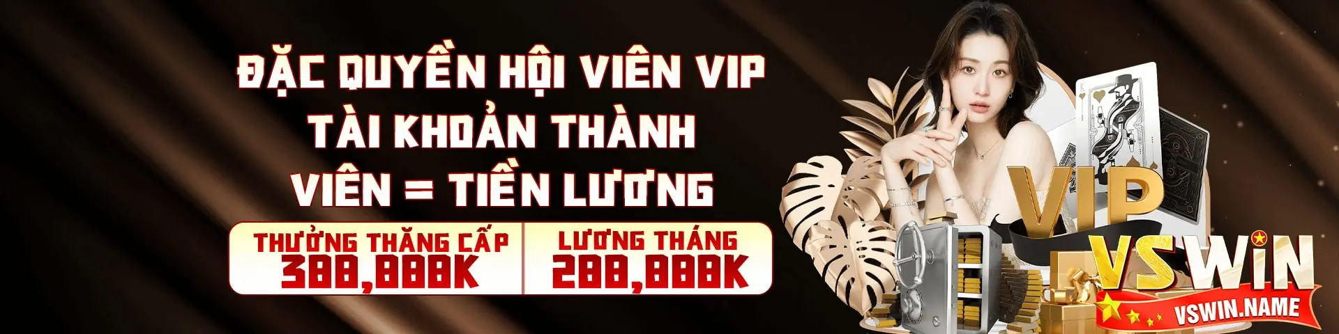 vswin